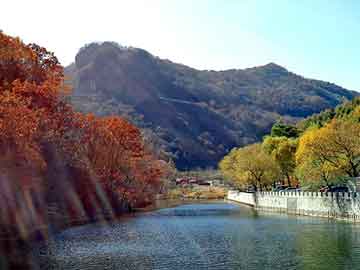 澳门二四六天天彩图库，本地山羊养殖技术